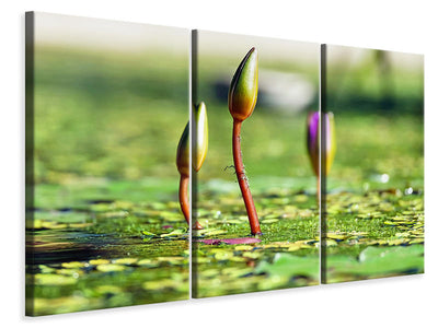 3-piece-canvas-print-water-lilies-in-xl