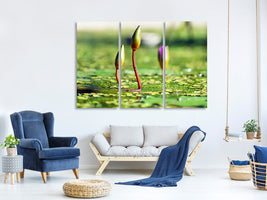 3-piece-canvas-print-water-lilies-in-xl