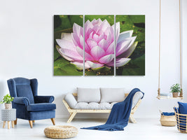 3-piece-canvas-print-water-lily-in-pink