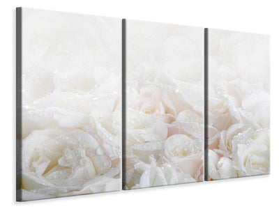 3-piece-canvas-print-white-roses-in-the-morning-dew
