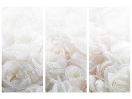3-piece-canvas-print-white-roses-in-the-morning-dew
