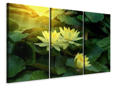 3-piece-canvas-print-wild-lotus