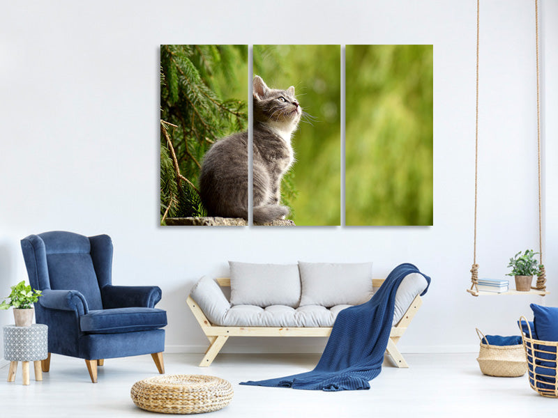 3-piece-canvas-print-wildcat