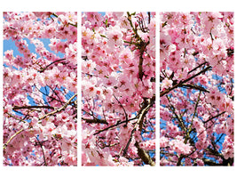 3-piece-canvas-print-wonderful-japanese-cherry