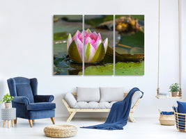3-piece-canvas-print-xl-water-lily-in-pink