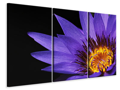 3-piece-canvas-print-xl-water-lily-in-purple