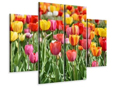 4-piece-canvas-print-a-colorful-tulip-field