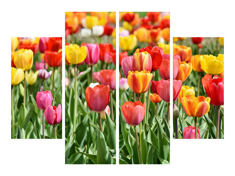 4-piece-canvas-print-a-colorful-tulip-field