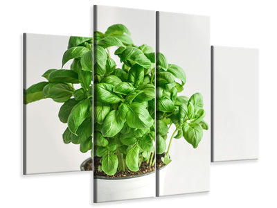 4-piece-canvas-print-basil-in-the-pot