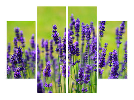 4-piece-canvas-print-beautiful-lavender