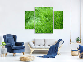 4-piece-canvas-print-blades-of-grass
