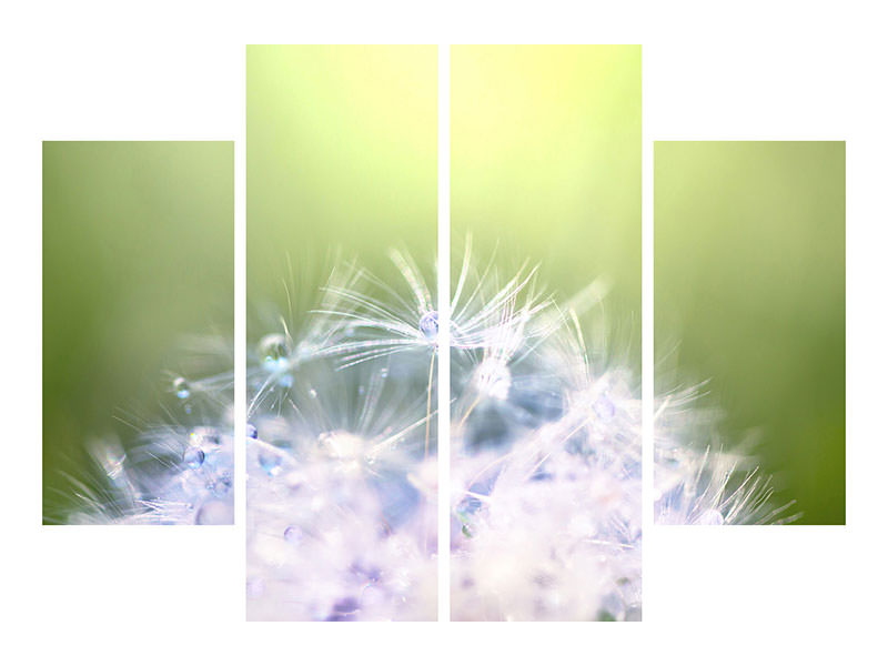 4-piece-canvas-print-dandelion-xl-in-morning-dew