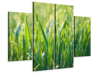 4-piece-canvas-print-grass-with-morning-dew-xl