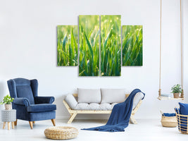 4-piece-canvas-print-grass-with-morning-dew-xl