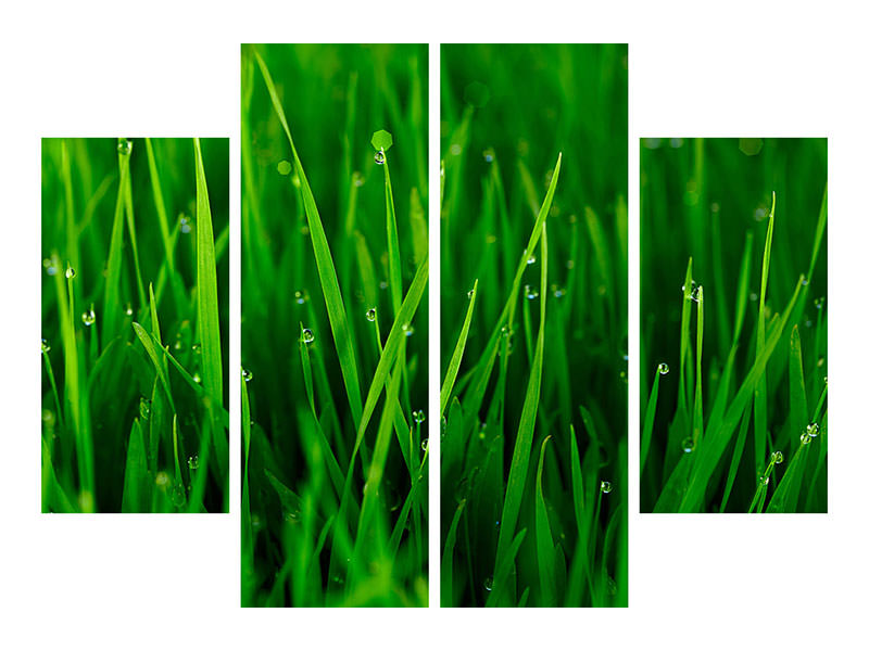 4-piece-canvas-print-grass-with-morning-dew
