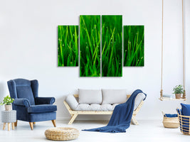 4-piece-canvas-print-grass-with-morning-dew