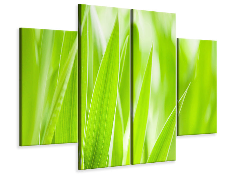 4-piece-canvas-print-grass-xxl
