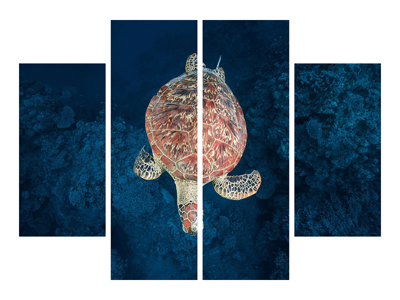 4-piece-canvas-print-green-turtle-on-blue-water
