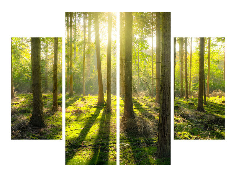 4-piece-canvas-print-in-the-middle-of-the-woods