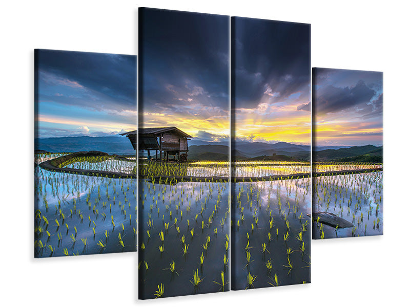 4-piece-canvas-print-light-in-rice