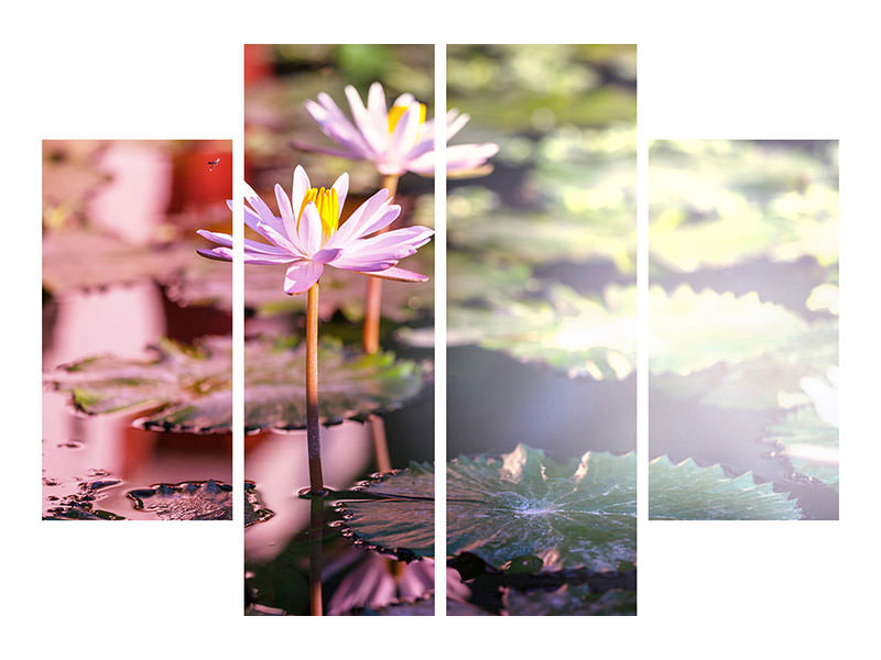 4-piece-canvas-print-lilies-in-pond