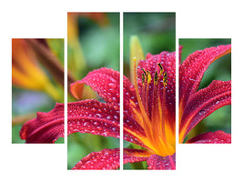 4-piece-canvas-print-lily-flower-in-pink-xl