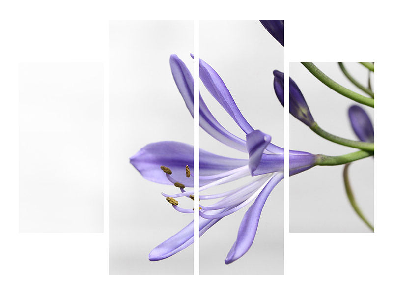 4-piece-canvas-print-lily-flower-in-purple