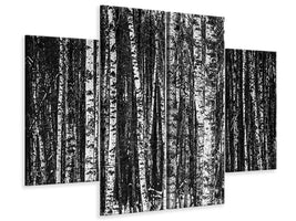 4-piece-canvas-print-many-birches-xl