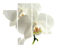 4-piece-canvas-print-orchids-bloom