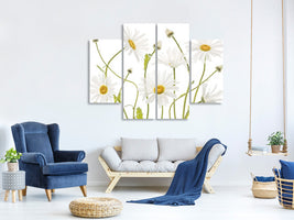 4-piece-canvas-print-ox-eye-daisies