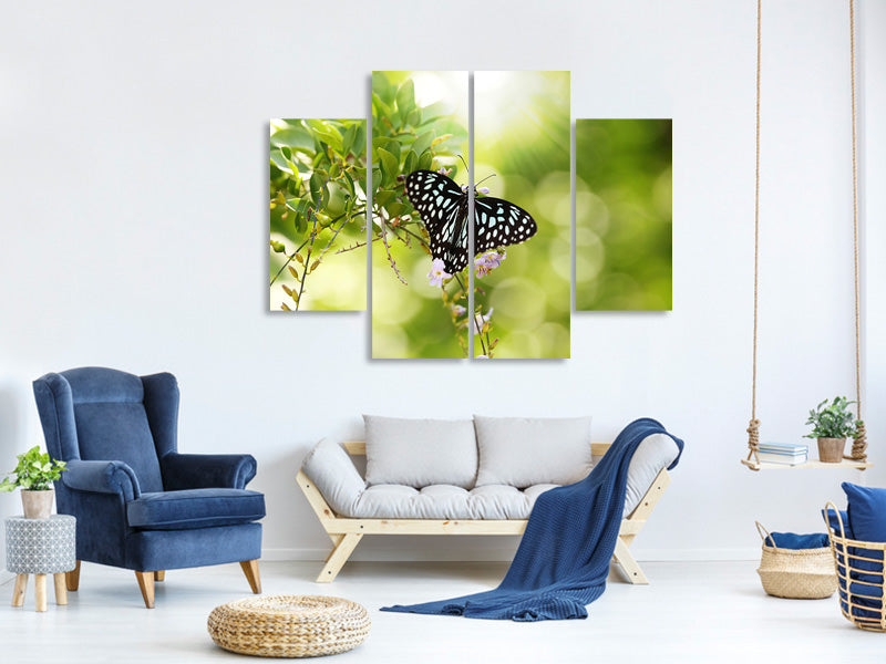 4-piece-canvas-print-papilio-butterfly-xxl
