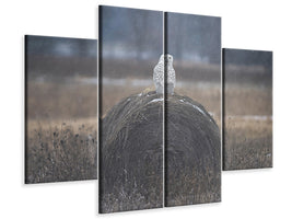 4-piece-canvas-print-princess-p