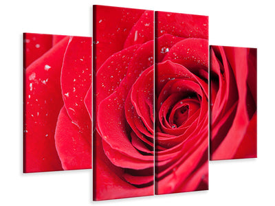 4-piece-canvas-print-red-rose-in-morning-dew