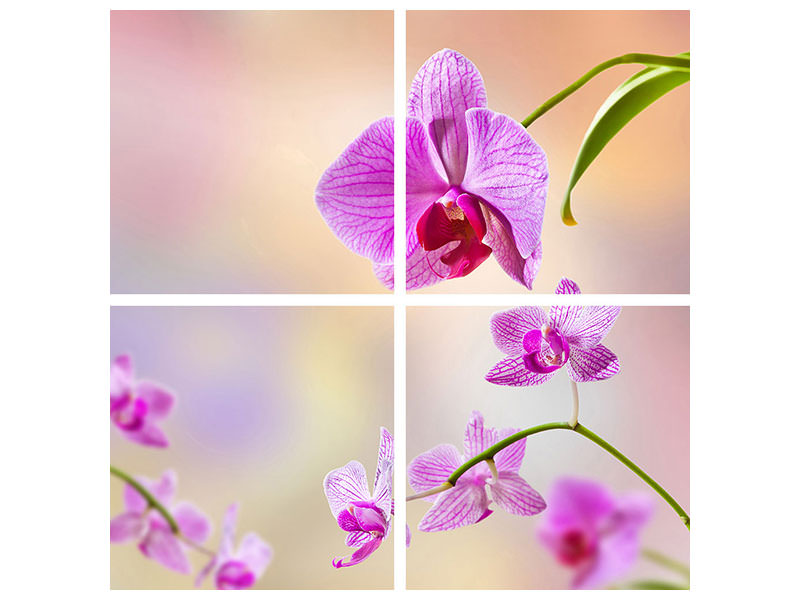 4-piece-canvas-print-romantic-orchids