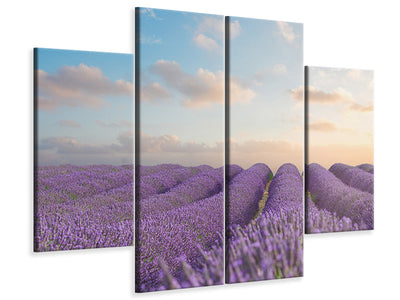 4-piece-canvas-print-the-blooming-lavender-field