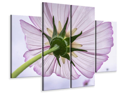 4-piece-canvas-print-the-cosmos-flower