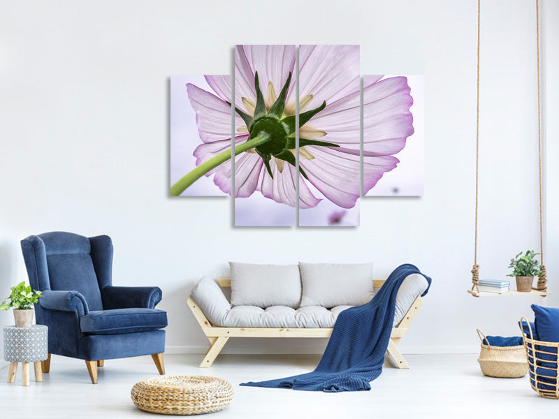 4-piece-canvas-print-the-cosmos-flower