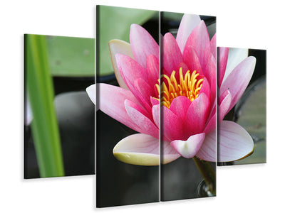 4-piece-canvas-print-the-water-lily-in-pink