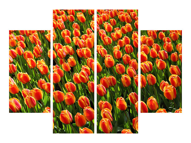 4-piece-canvas-print-tulip-field-in-orange