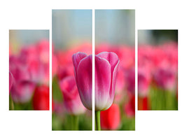 4-piece-canvas-print-tulip-field-in-pink-red