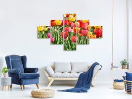 5-piece-canvas-print-a-colorful-tulip-field