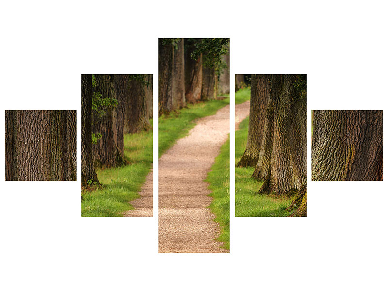 5-piece-canvas-print-a-path-in-the-forest