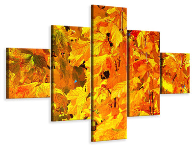 5-piece-canvas-print-autumn-leaves-ii