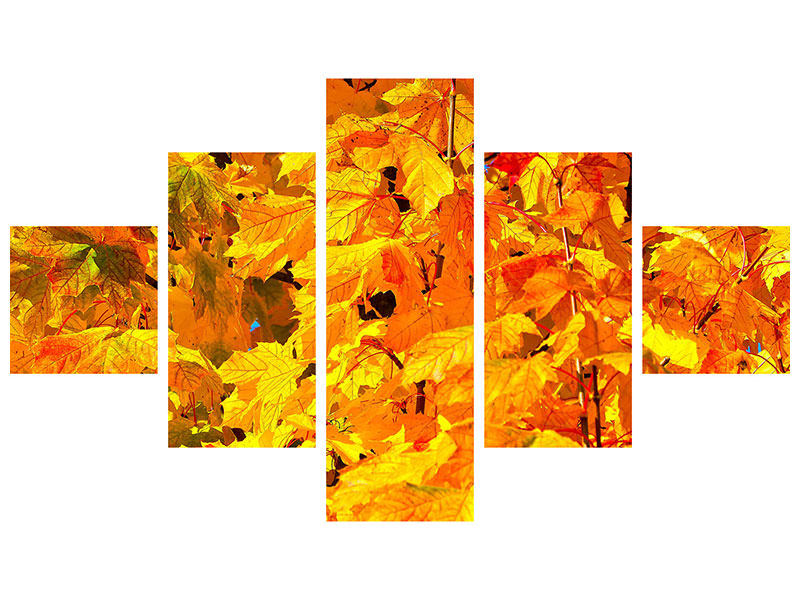 5-piece-canvas-print-autumn-leaves-ii