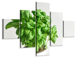 5-piece-canvas-print-basil-in-the-pot