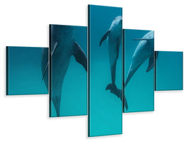 5-piece-canvas-print-bottlenose-dolphins-ii