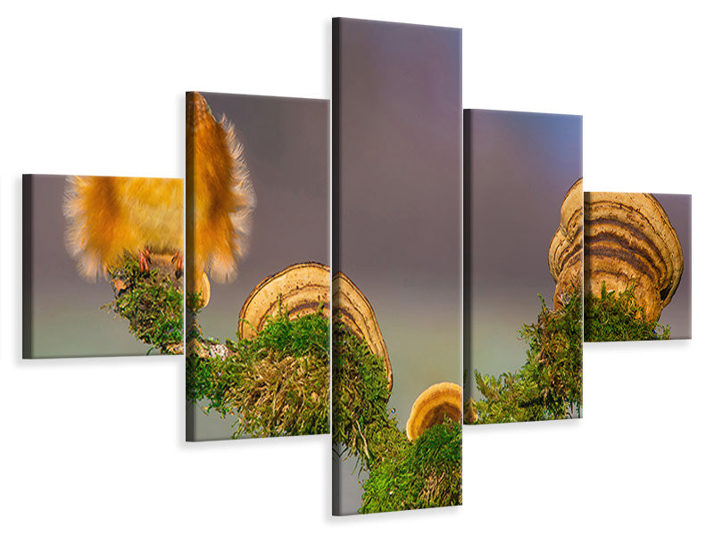 5-piece-canvas-print-buhtlin