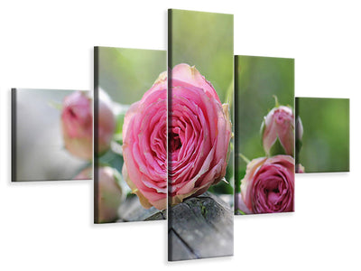 5-piece-canvas-print-bush-roses