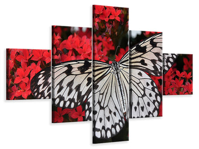 5-piece-canvas-print-butterfly-in-xxl