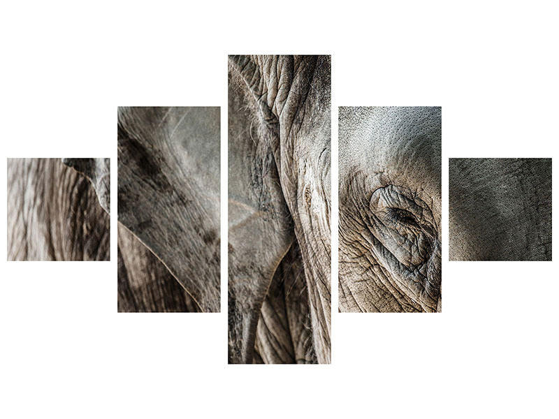 5-piece-canvas-print-close-up-elephant